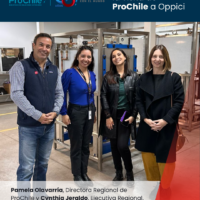 Oppici prochile en oppici